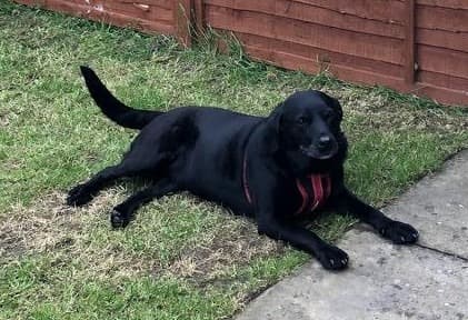 Special lady Sasha! — Unknown