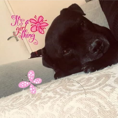 Talkative Tia — Unknown