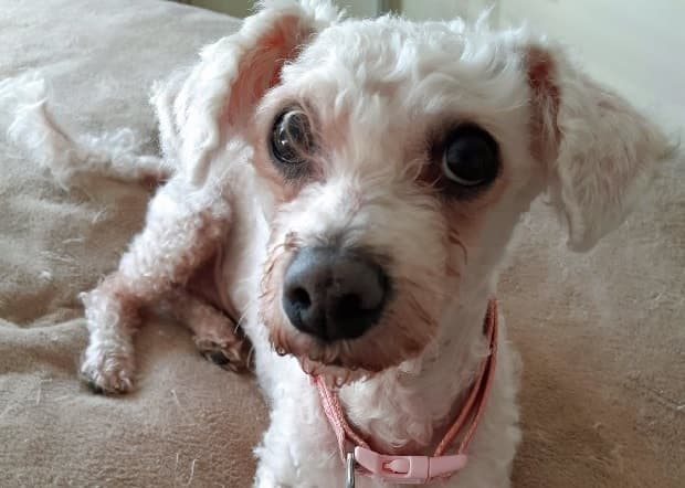 Princess — Unknown