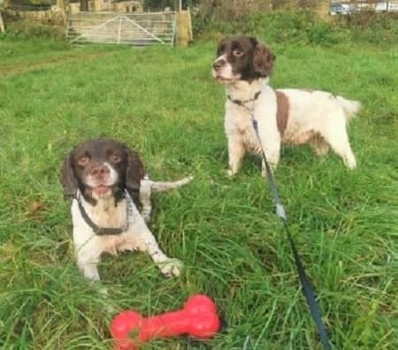 Benji and Brodie — Unknown