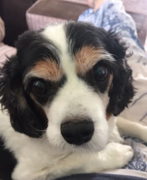 Chock-Dee aka Big C — Unknown