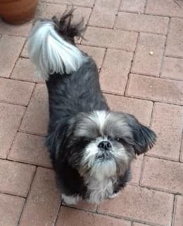 Pretty Daisy! — Unknown