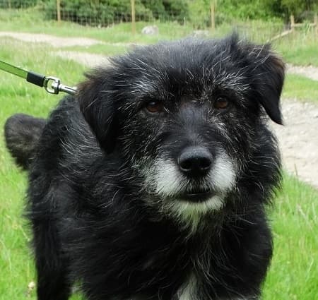 Mortimer — Unknown