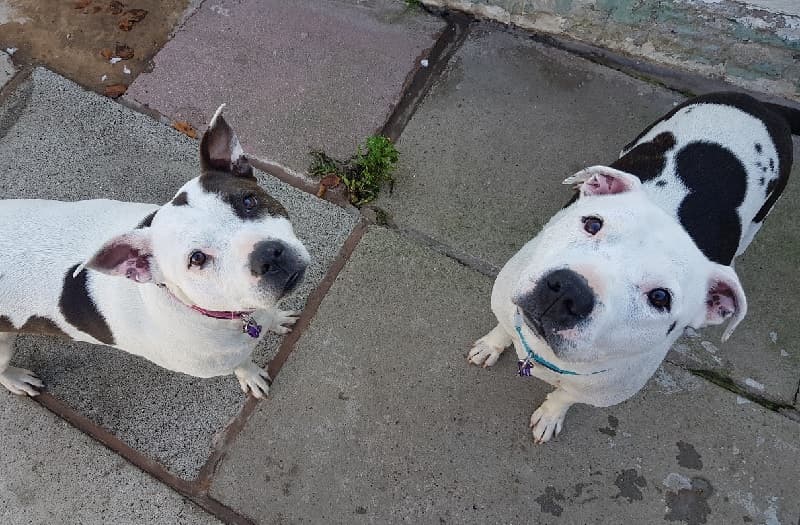 Cassie & Jimmy — Unknown