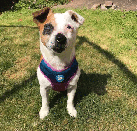 Little Miss Misty — Unknown