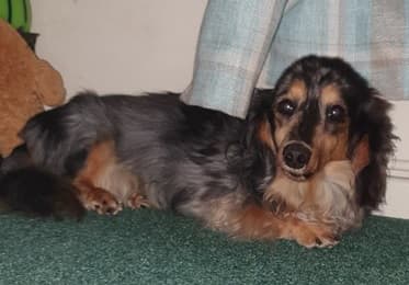 Patrick & PJ — Unknown