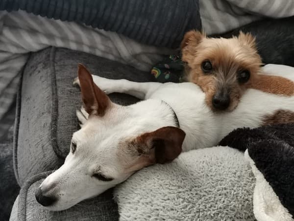 Twinkle Star and Superstar DJ — Unknown