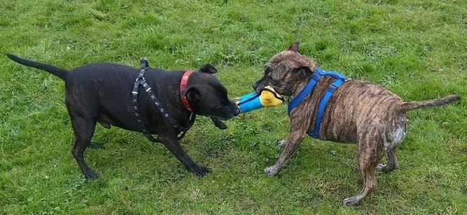 Tia & Jack — Unknown