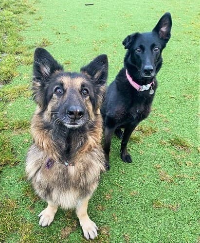 Princess & Tinkerbell — Unknown