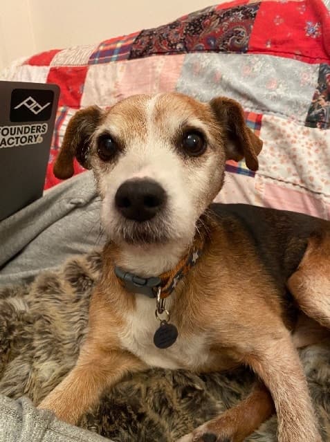 Cutie-pie Kai! — Unknown