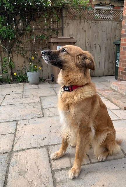 Pretty angelic Halo! — Unknown