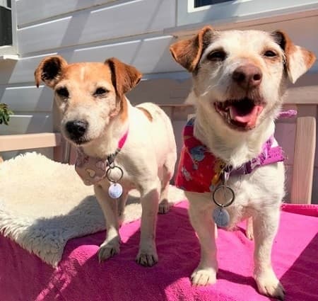 Jennie and Jackie — Unknown