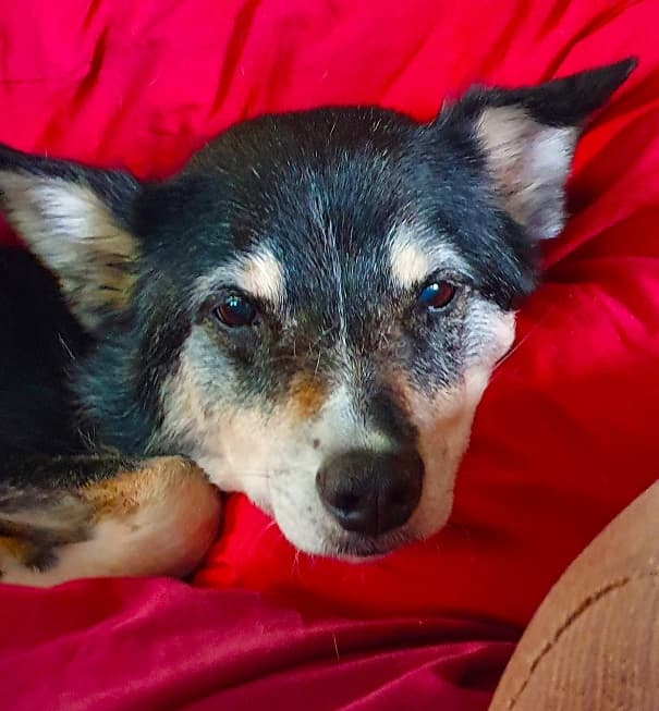 Friendly Judy — Unknown