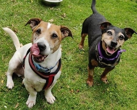 Bella & Spot — Unknown