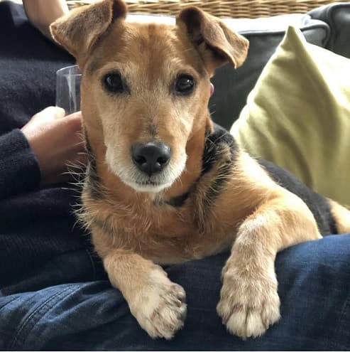 The BaXter factor! — Unknown