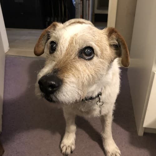 Jack Dogly – Games Master General! — Unknown