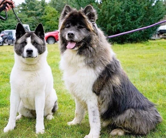 Axel & Lexi — Unknown