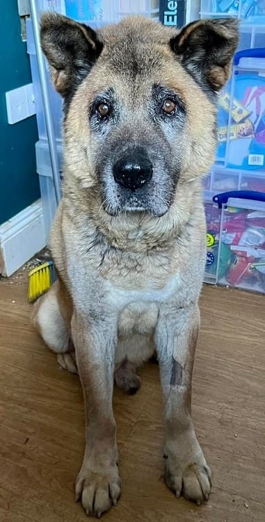 Meatloaf — Unknown