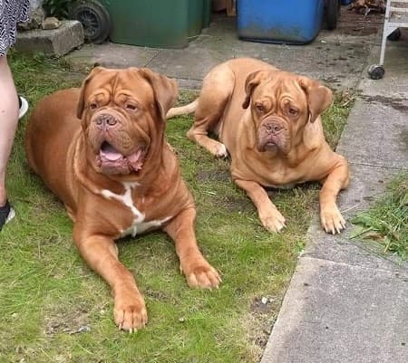 Albie and Bella — Unknown