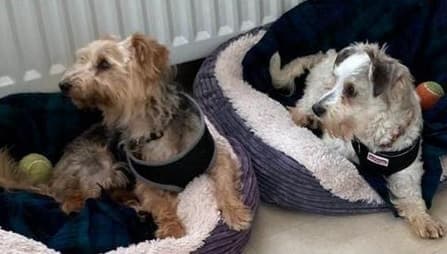 Elvis & Presley — Unknown