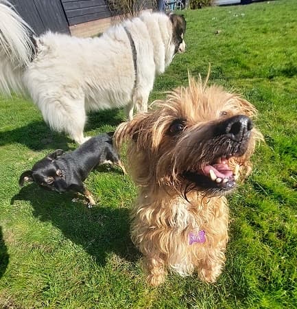 Minney and Roxy — Unknown