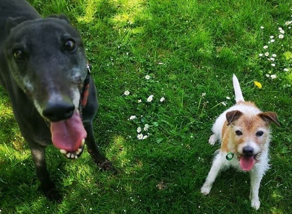 Milly & Monty — Unknown