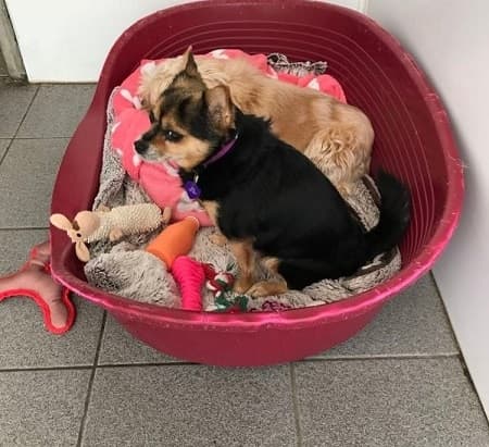 Flump and Posey — Unknown