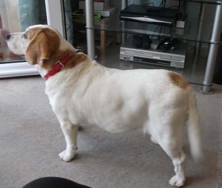 Wonderfully winsome Willow! — Unknown