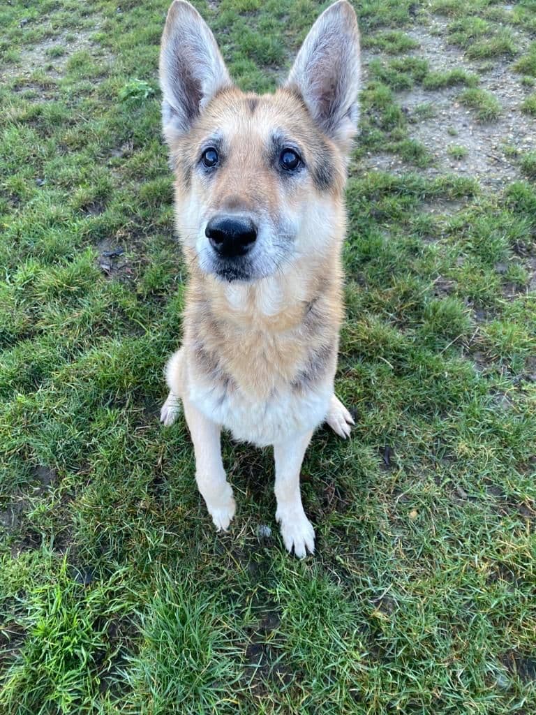 Anxious Zara — Unknown