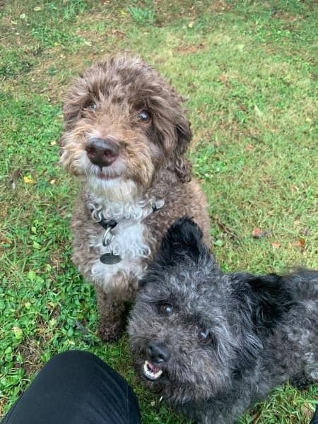 Bella & Percy — Unknown