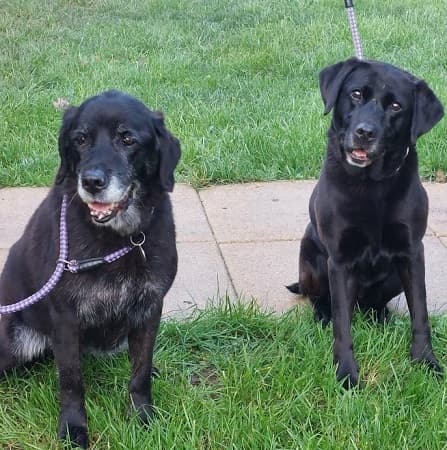 Abbie and Megan — Unknown