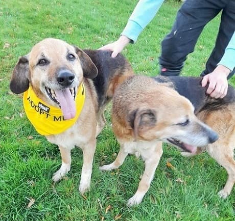 Smiley & Remus — Unknown