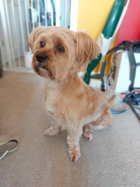 Fun-loving Freddie the foodie! — Unknown