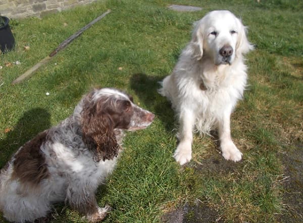 Millie & Joe — Unknown