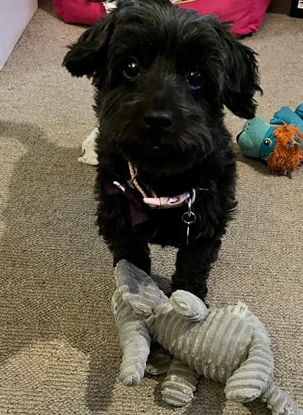 Ruby doesn’t need slippers! — Unknown