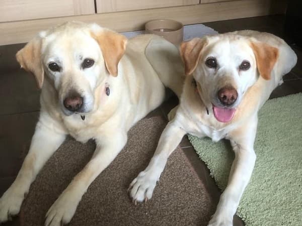 Eden & Ruby — Unknown