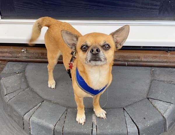 Little Jaxplorer! — Unknown