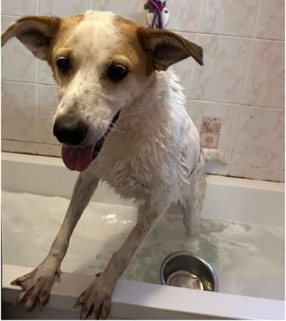 Danielle — Unknown