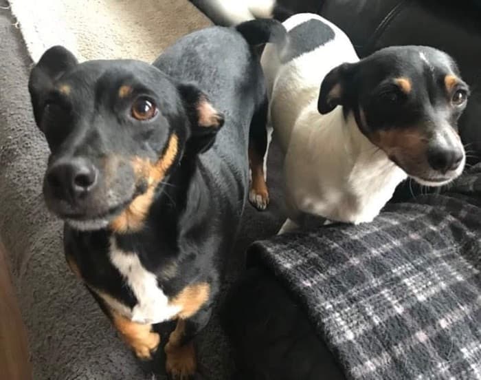 Toby & Bertie — Unknown