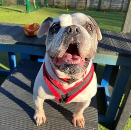 Princess — Unknown