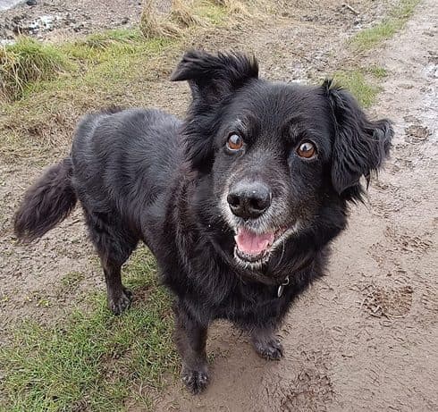 Pretty Cassie — Unknown