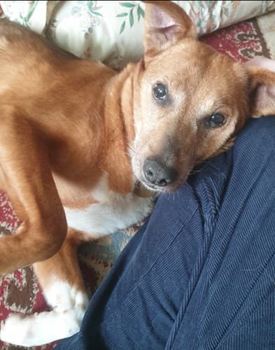 Clara is loving her new life! — Unknown