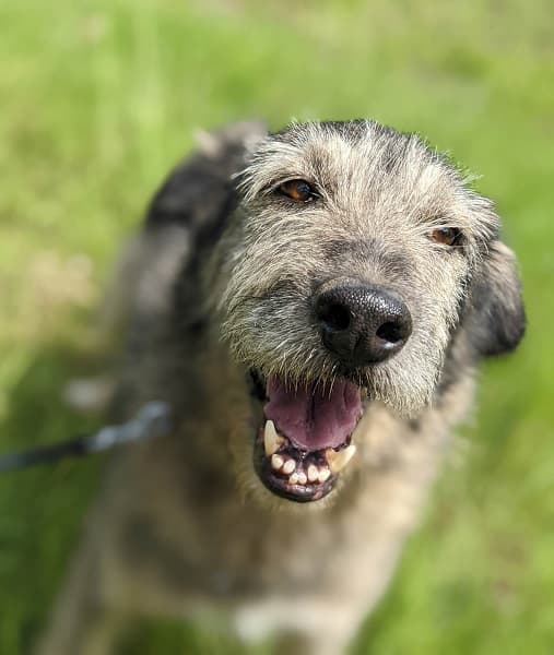 Geoffrey — Unknown