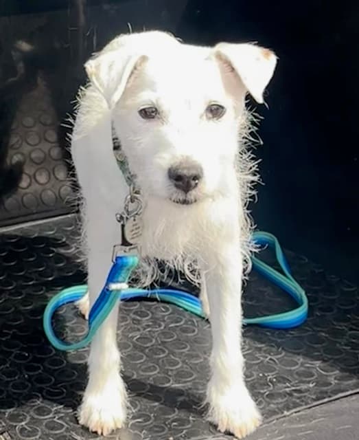 Mr Monty Parsons! — Unknown