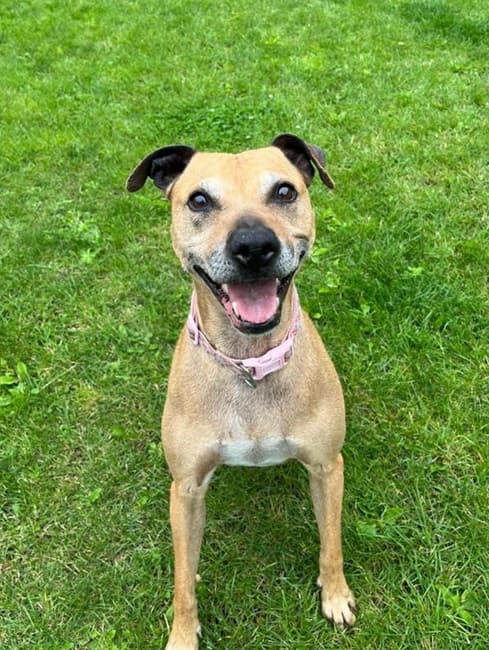 Morrigon — Unknown