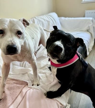 Nina and Luna — Unknown