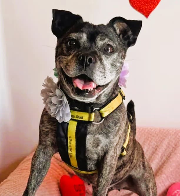 Lola Lou — Unknown