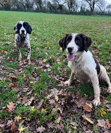 Mollie and Bess — Unknown