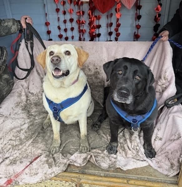 Gemma and Suki — Unknown