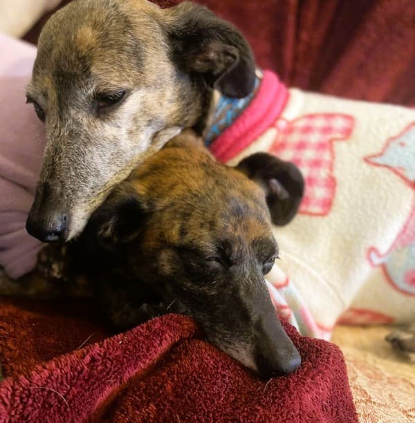 Lottie and Libby — Unknown